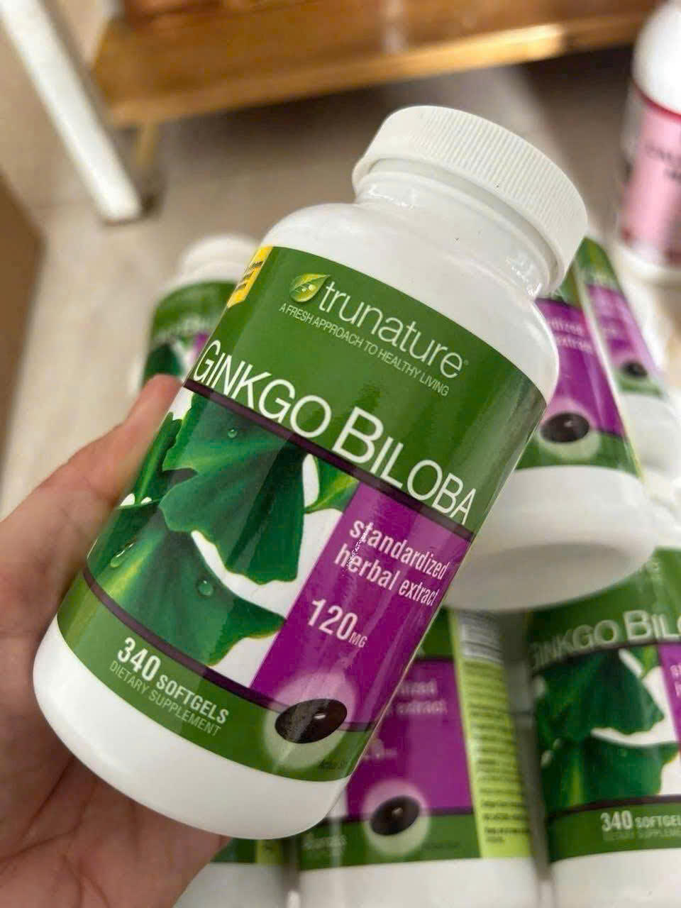 GINKGO BILOBA 120mg